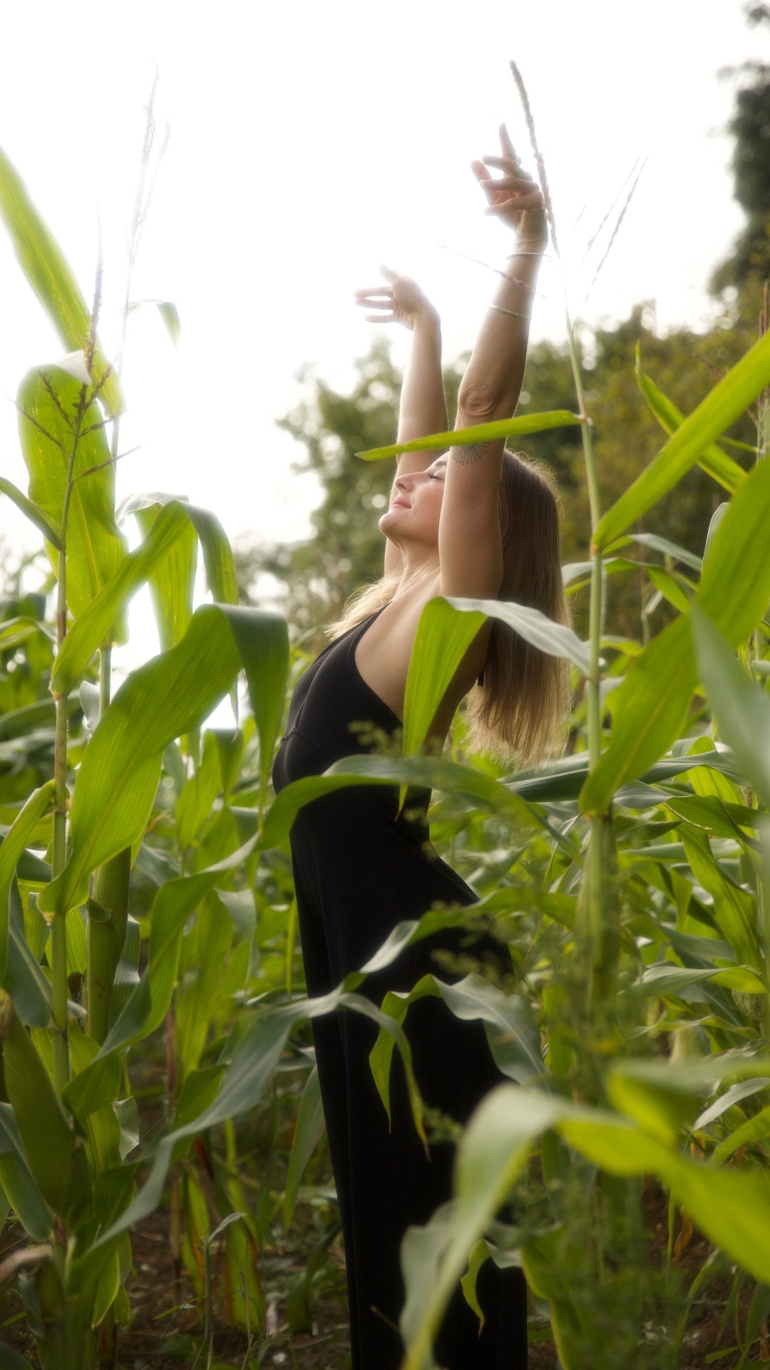 Conversations to slow and soothe