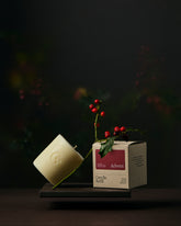 A wax refill block with a box next to it which says &