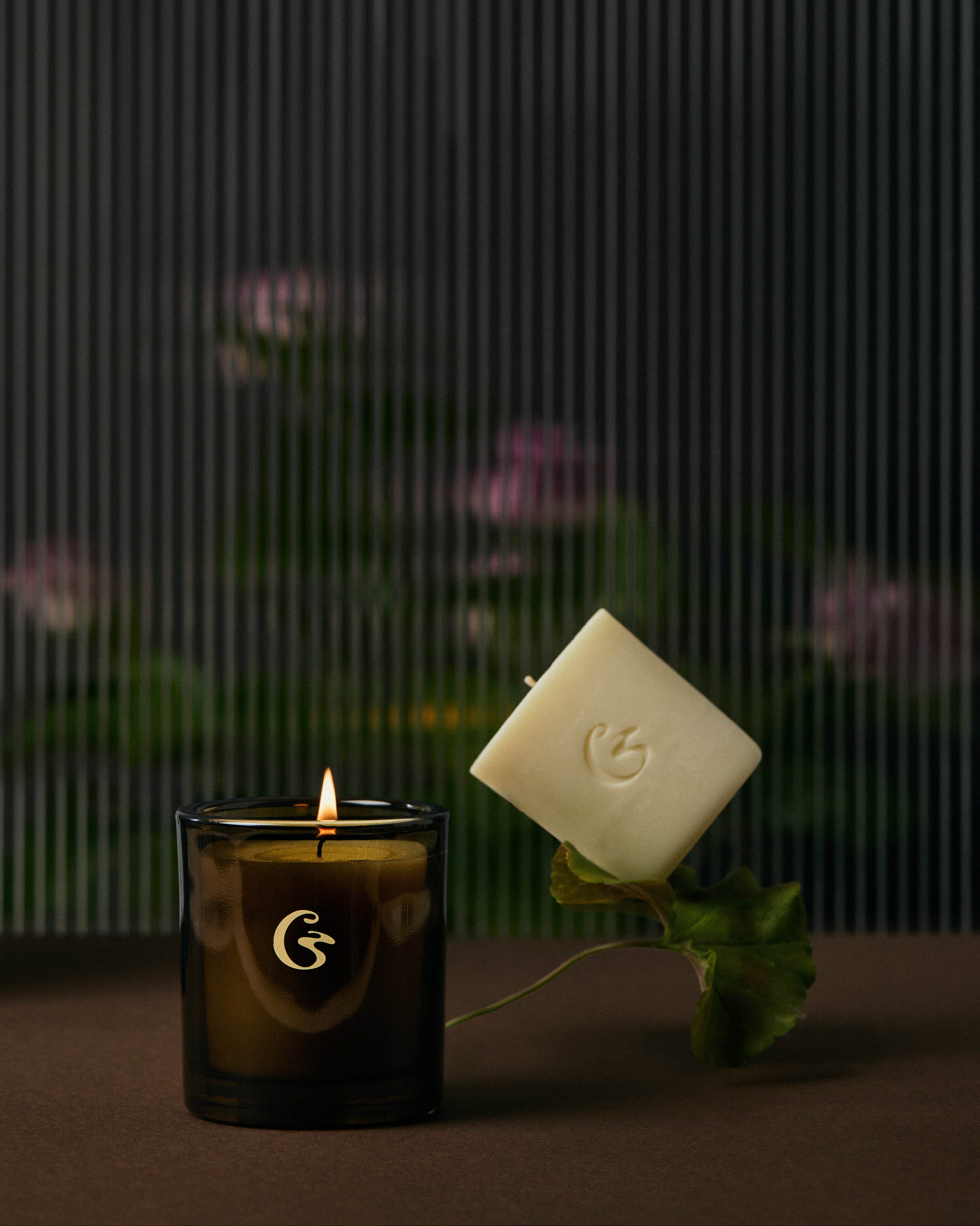Candle Subscription – cedar