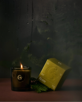 A lit candle with a box which says rove next to it. Set against a blurry background with ferns